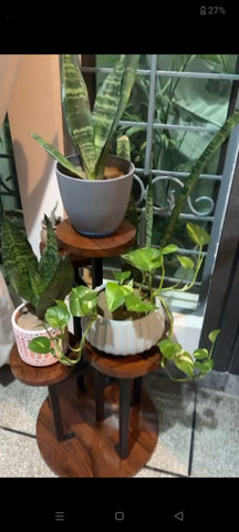 H16 5-Star: Modern Plant Stand, Stylish Indoor Plant Pedestal, Wooden Surface & Strong Metal Legs, Elevated Display for Indoor Greenery, Wood Meets Metal