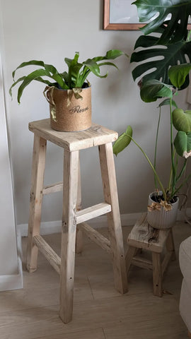 W31 Tavro: Wooden Planter