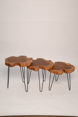 L13 GrainLine: Live Edge Coffee Table, Live Edge Side Table, End Table, Table with Hairpin Legs