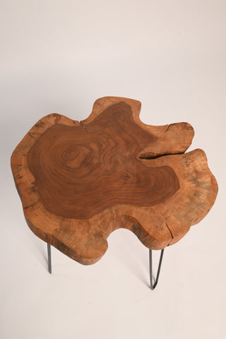 Live edge coffee table, full front view