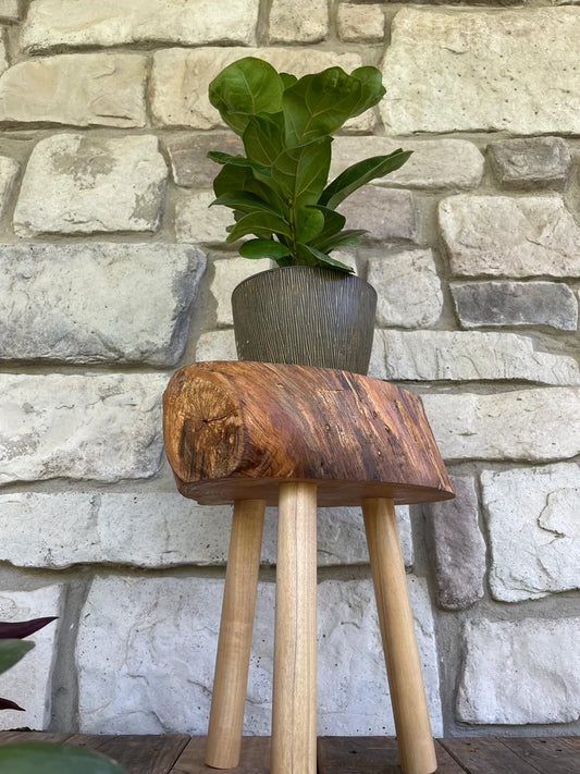 Live edge plant stand, close-up of wood grain