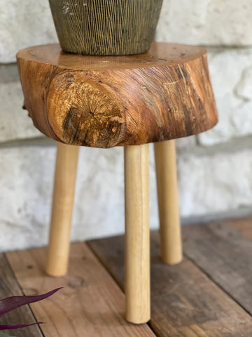 Live edge wood plant stand, top view