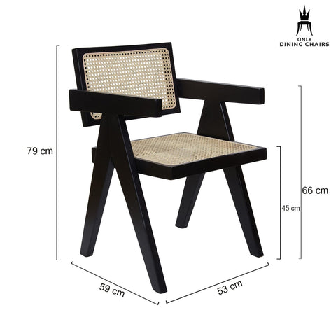 "Rattan chair matte finish, full view"
