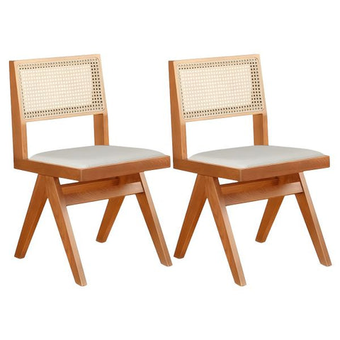 "Rattan dining chair front view"