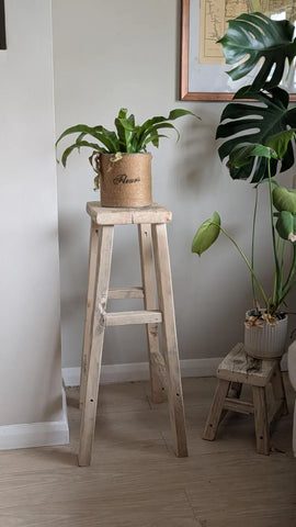 W31 Tavro: Wooden Planter
