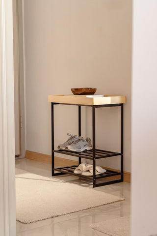 2 Tier Metal Shoe Rack, Entryway Organizer, Shoe Storage