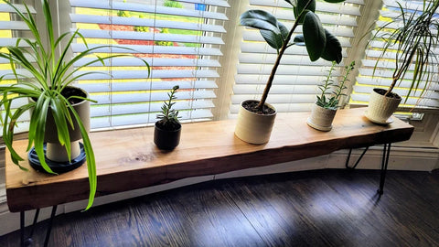 L24 Loom: Live Edge Bench with Hairpin Legs, Rustic Modern Entryway, Modern Room Furniture, Unique Plant Display
