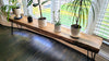 L24 Loom: Live Edge Bench with Hairpin Legs, Rustic Modern Entryway, Modern Room Furniture, Unique Plant Display